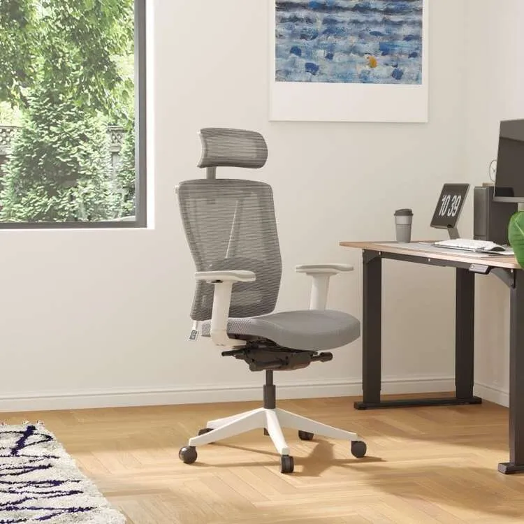 chaise de bureau ergonomique bs14 flexispot