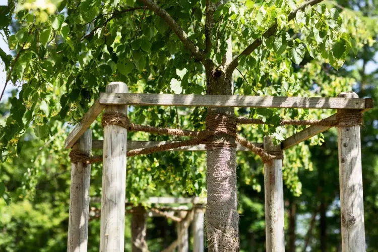 comment protéger le jardin des fortes pluies