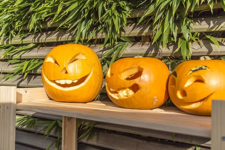 décoration halloween avec des citrouilles amusantes