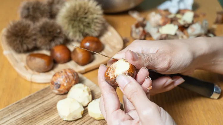 Peut-on manger la deuxième peau des châtaignes,Peut on manger deuxième peau châtaignes