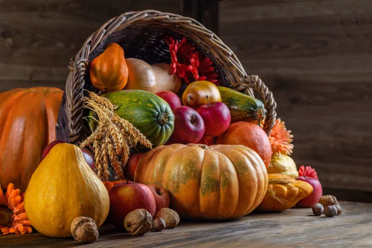 aliments d'automne pour la fertilité à consommer sans modération