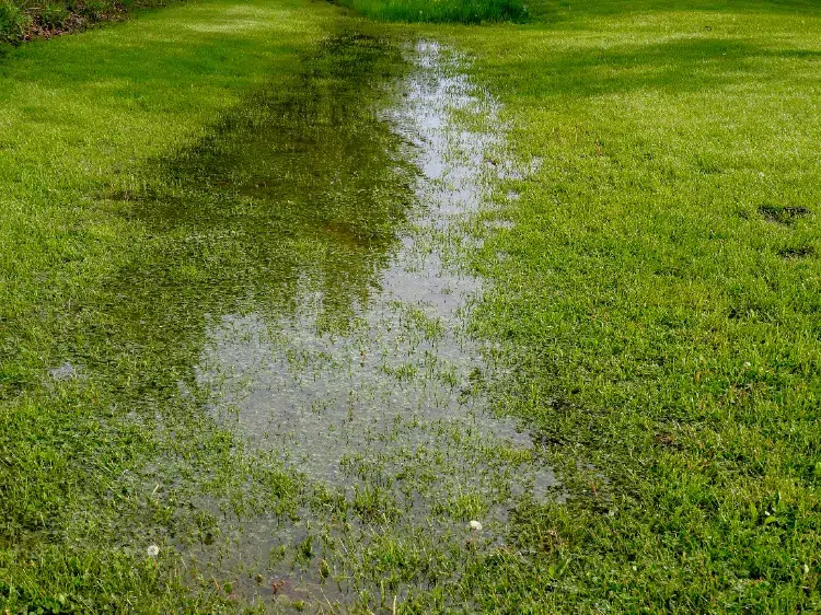 Améliorer le drainage du sol,Améliorer drainage sol