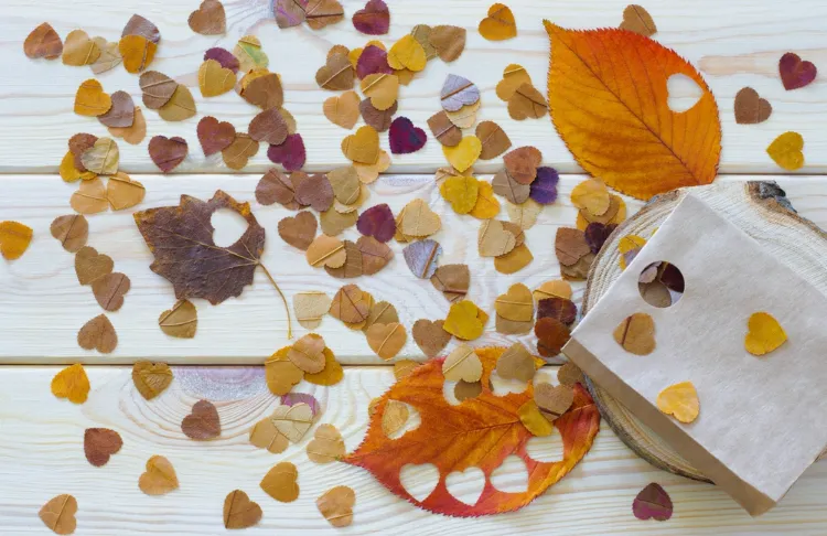 comment faire des confettis à partir de feuilles automnales naturelles