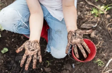 comment nettoyer ses mains après le jardinage natalie board shutterstock