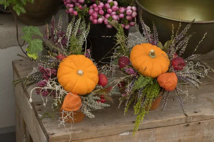 Comment utiliser les coloquintes,Comment utiliser coloquintes