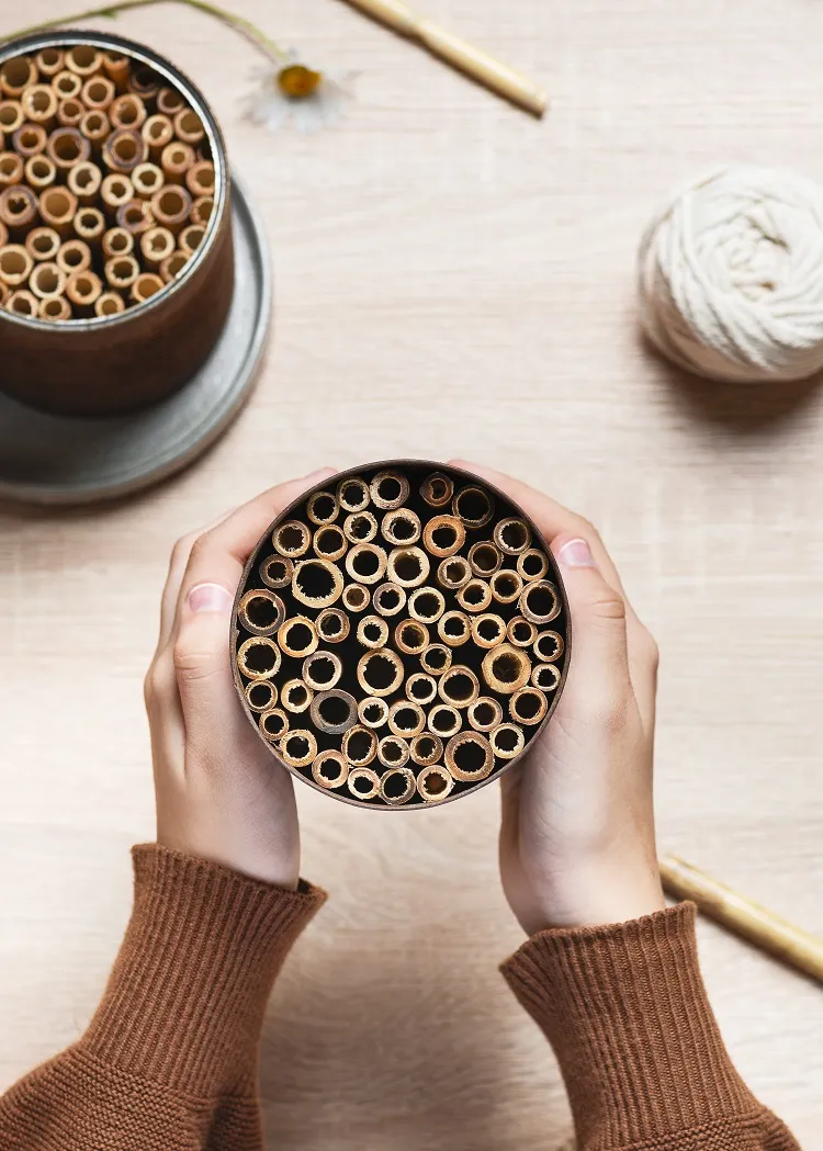 créer un hotel pour insectes avec des tiges de bambou