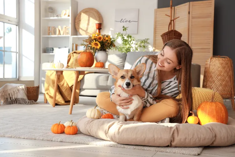 Quels animaux peuvent être attirés par les décorations d&#039;Halloween,Quels animaux peuvent être attirés décorations d&#039;Halloween,Quels animaux attirés décorations dHalloween