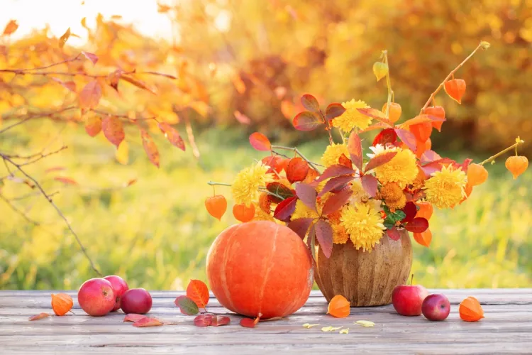 décoration d'automne avec physalis chrysanthèmes et courges