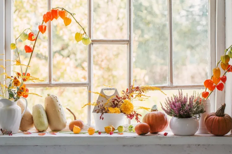 décoration de rebord de fenêtre pour l'automne avec des tiges de physalis fleurs citrouilles et bruyère en pot