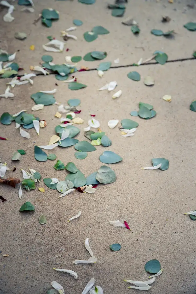 des confettis de feuilles d'eucalyptus et de pétales en tant que déco de mariage naturelle