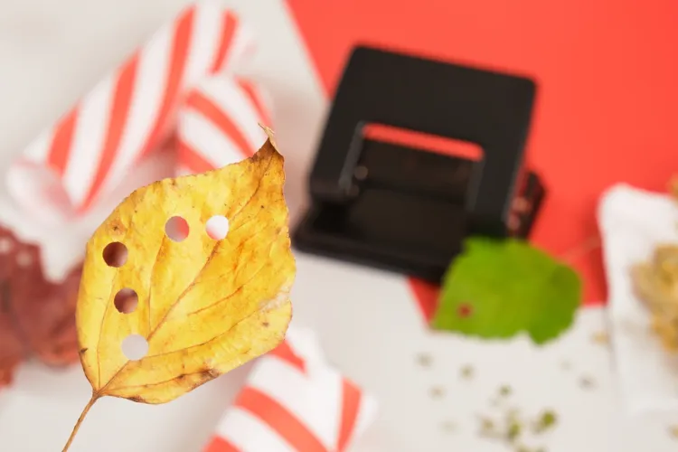 des conseils utiles et des astuces sur le choix des feuilles pour faire des confettis