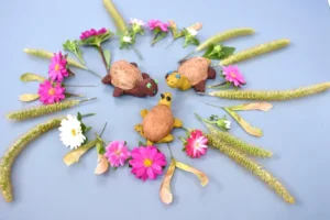 des tortues diy en plasticine en tant que projet de bricolage animaux en coquilles de noix