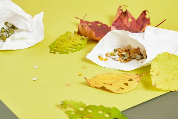 guide complet pour apprendre à faire des confettis de feuilles naturelles