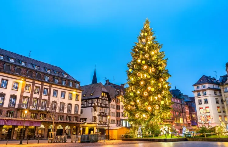 Le grand sapin de Noël à Strasbourg place Kléber