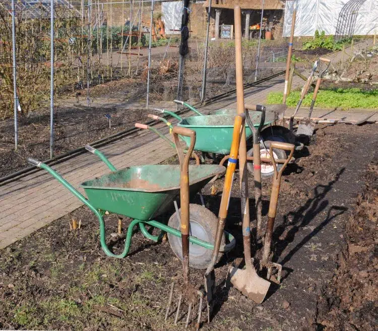 Outils de jardin pour l&#039;hiver,Outils jardin hiver,outils jardin lhiver