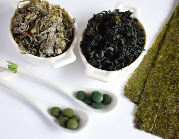 quelles sont les plantes et algues riches en fer spiruline nori wakame