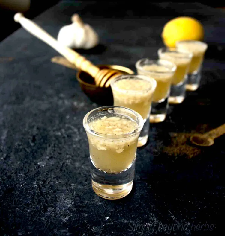 recette de shot vitaminé à l'ail en tant qu'un antibiotique naturel