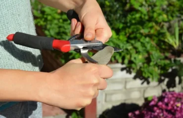 sécateur comme outil de jardin 2024