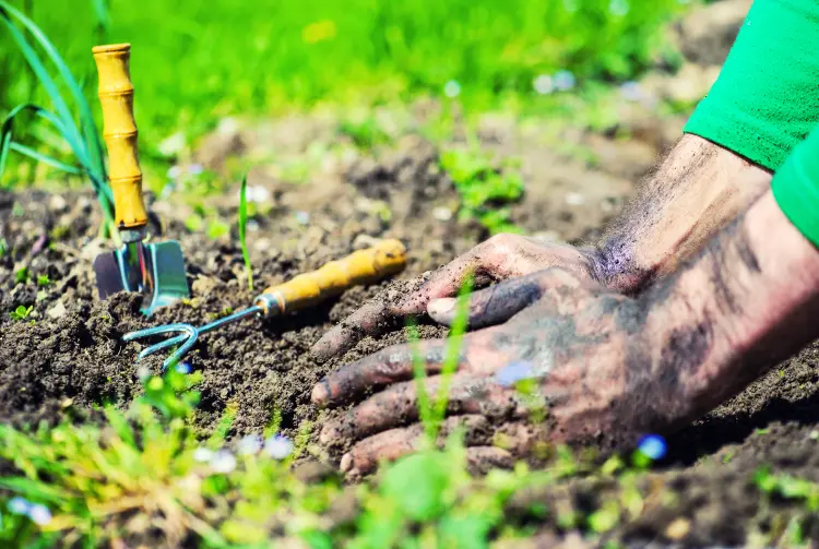 solutions naturelles comment nettoyer ses mains après le jardinage 