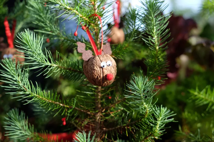 un renne diy en coquille de noix en tant que ornement pour le sapin de noel