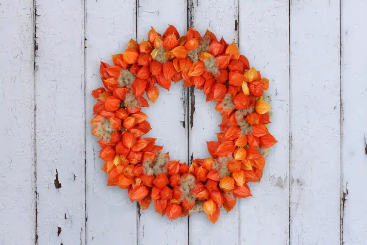 une couronne de physalis à faire soi même pour décorer la porte d'entrée en automne