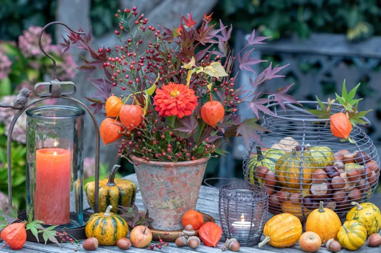 une décoration de table d'automne avec des courges physalis noisettes et fleurs