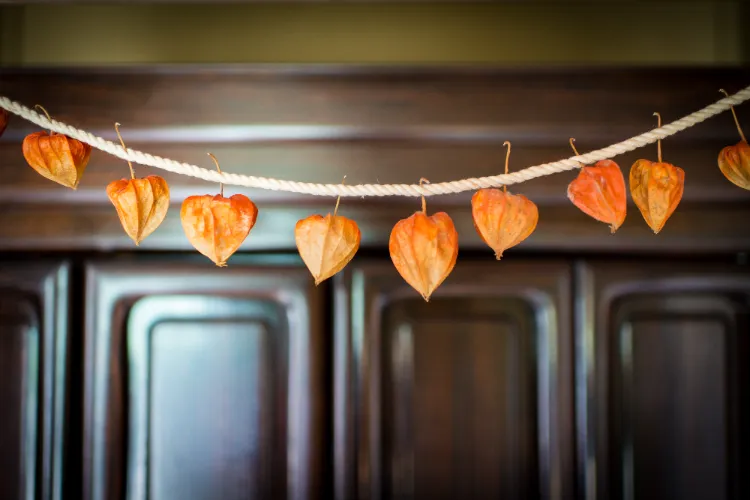 une guirlande de physalis et de corde à faire soi même pour l'automne