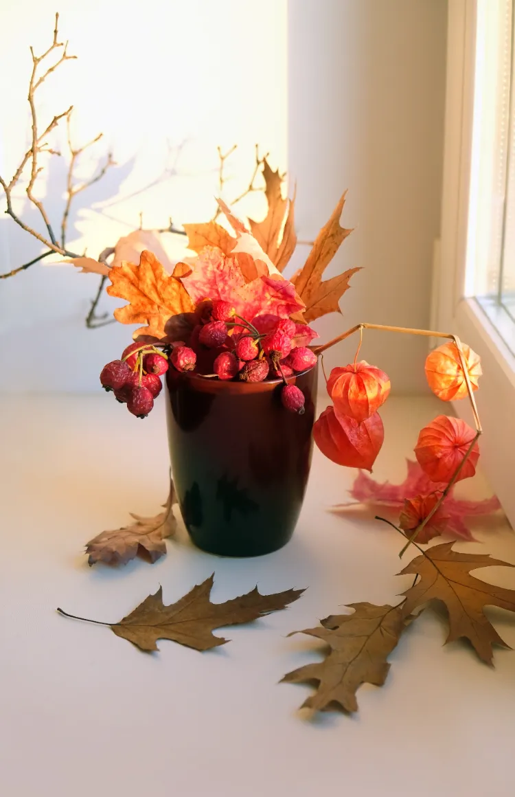 une jolie décoration d'automne avec physalis baies d'églantier et feuilles mortes dans un vase