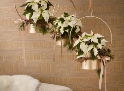 poinsettia golden elegance suspendu