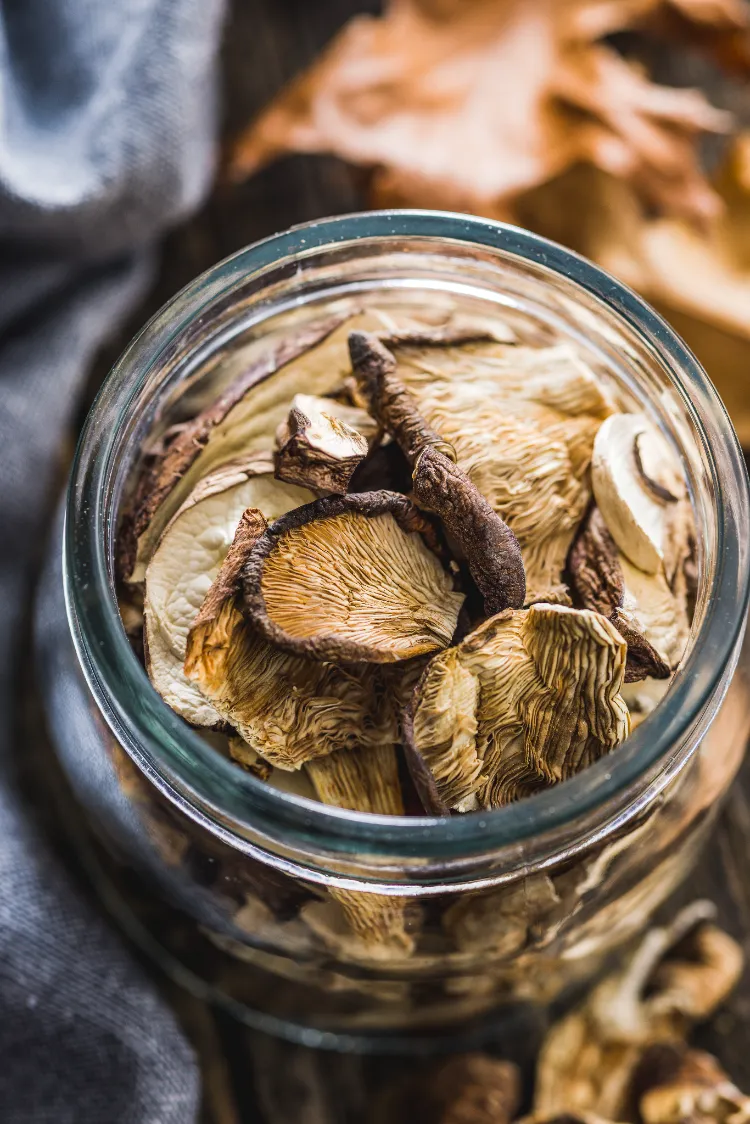 Conserver les champignons séchés,Conserver champignons séchés,comment conserver champignons séchés