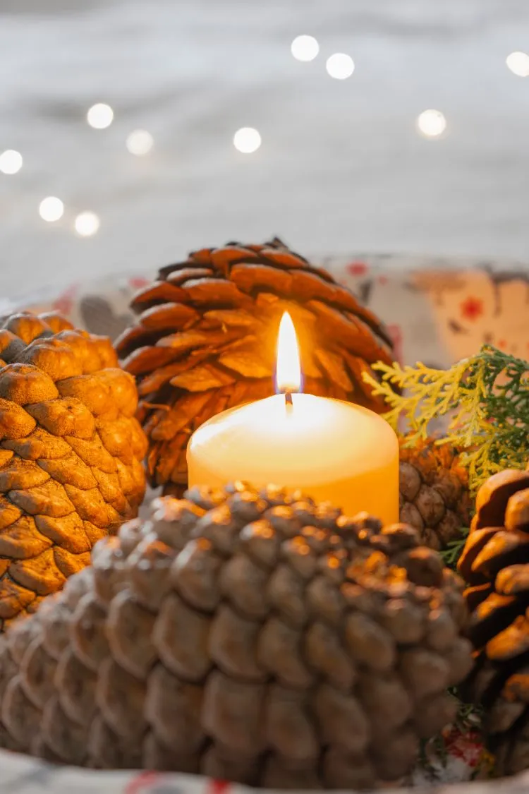 déco de table avec des pommes de pin