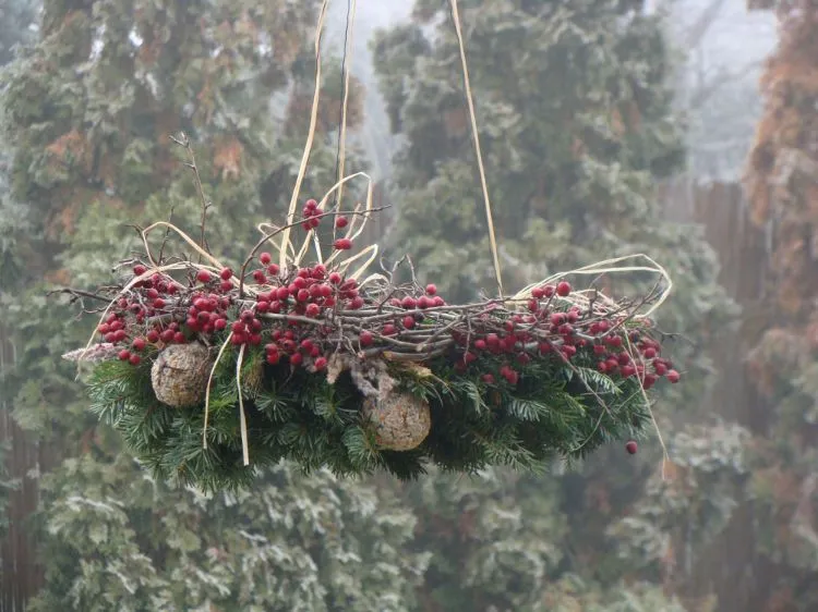 Décoration de Noël pour les oiseaux,Décoration Noël oiseaux