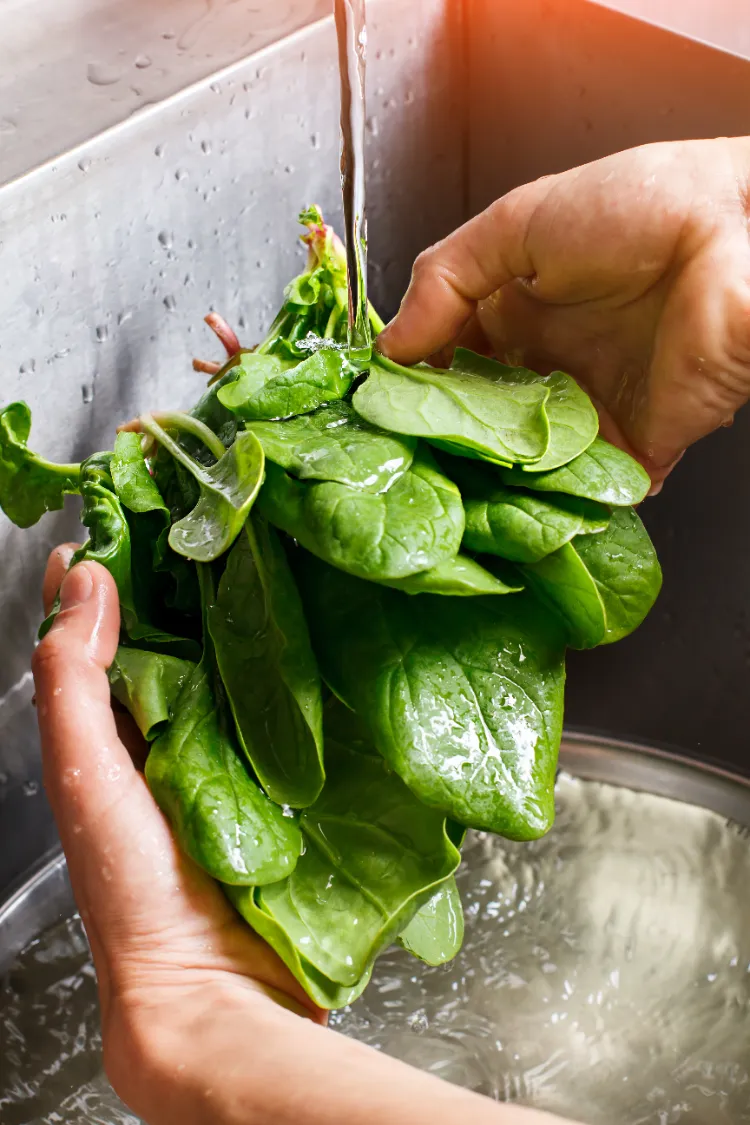 Aliments pour augmenter les globules blancs,Aliments augmenter globules blancs