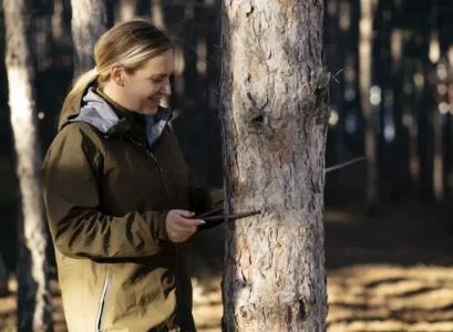 pourquoi écorcer les arbres