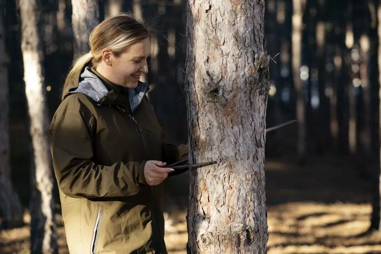 pourquoi écorcer les arbres