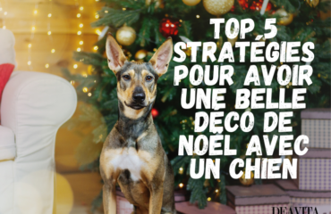 stratégies pour décorer un sapin avec un chiot