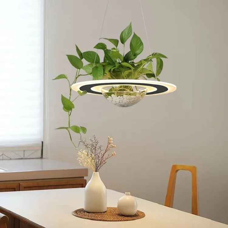 luminaire suspendu avec des plantes retombantes