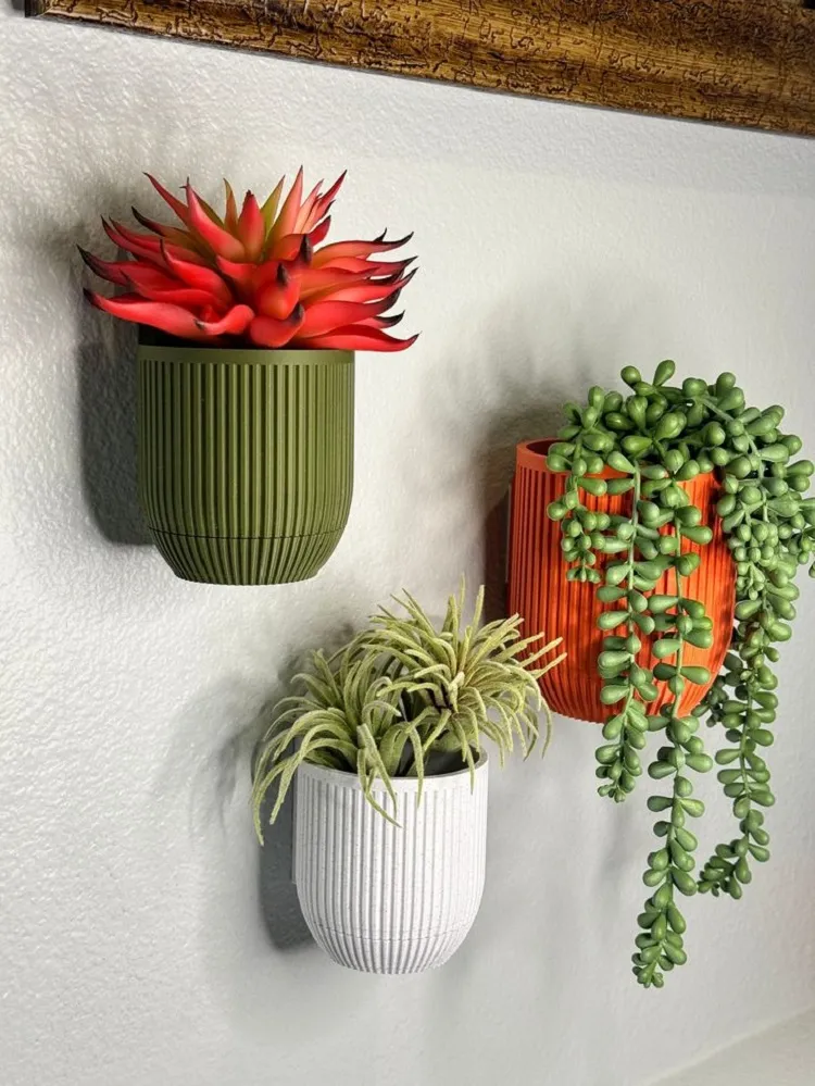 mini succulents en pot au mur