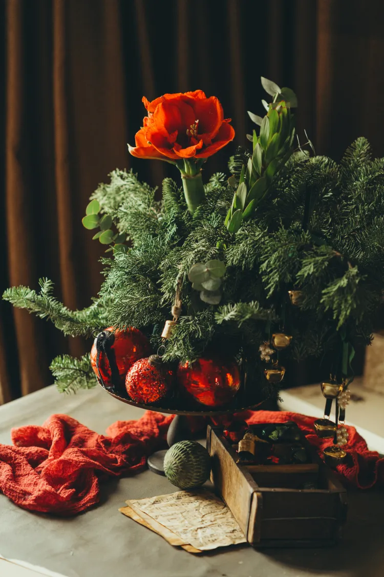 amaryllis toxique pour les animaux de compagnie