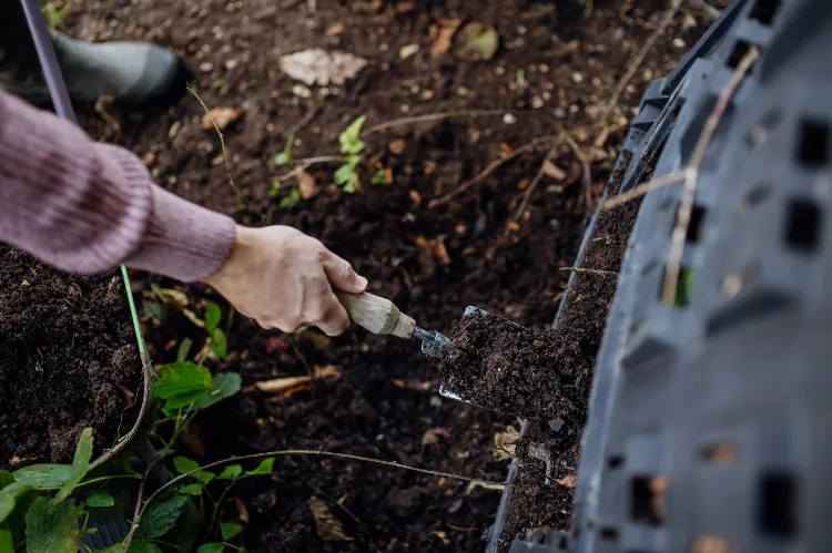 cendre dans le compost