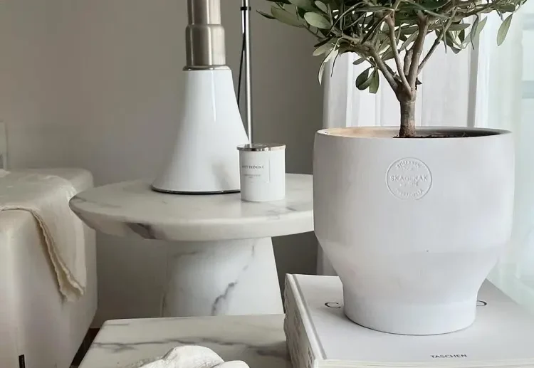 comment décorer un salon en blanc moderne tendance 2025 minna.kreutzman instagram