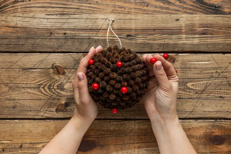 décoration facile à faire soi même avec des mini pommes de pin et des baies rouges