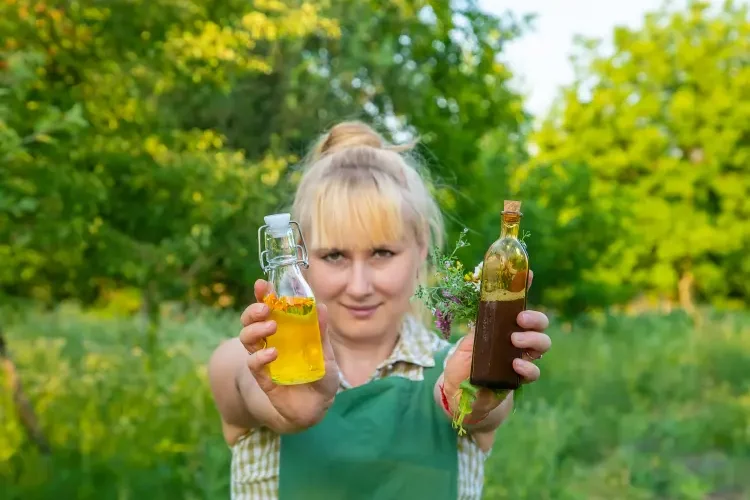 huile de colza pour traiter les arbres fruitiers yanadjana envato