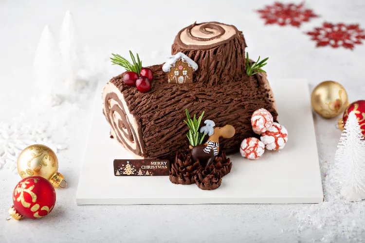 idée de dessert de noël la fameuse bûche façon tiramisu