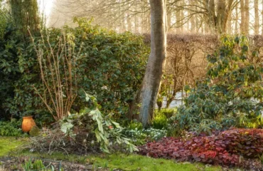 que faire au jardin en décembre que planter yuriarcurspeopleimages envato