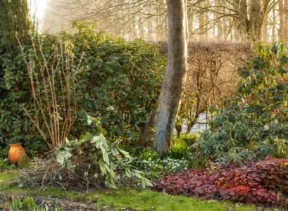 que faire au jardin en décembre que planter yuriarcurspeopleimages envato