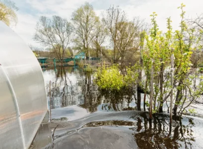 que planter en zone inondable