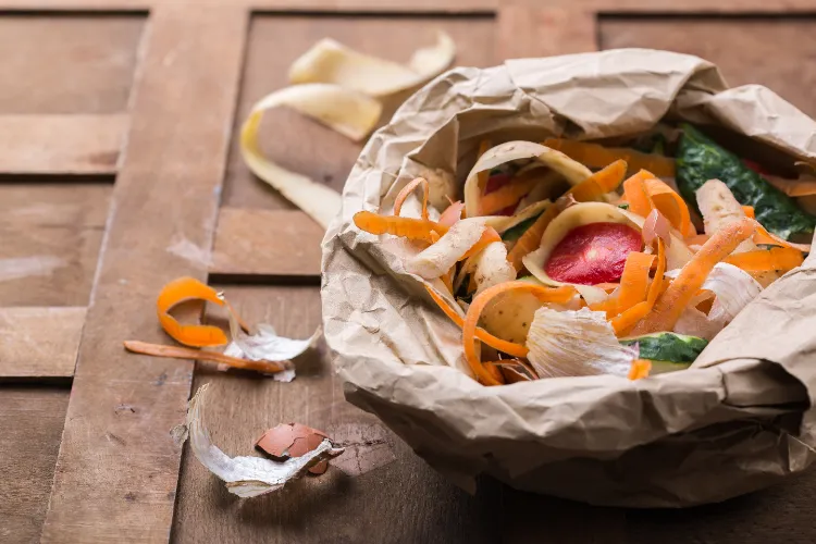 quels restes de cuisine ne pas donner aux poules