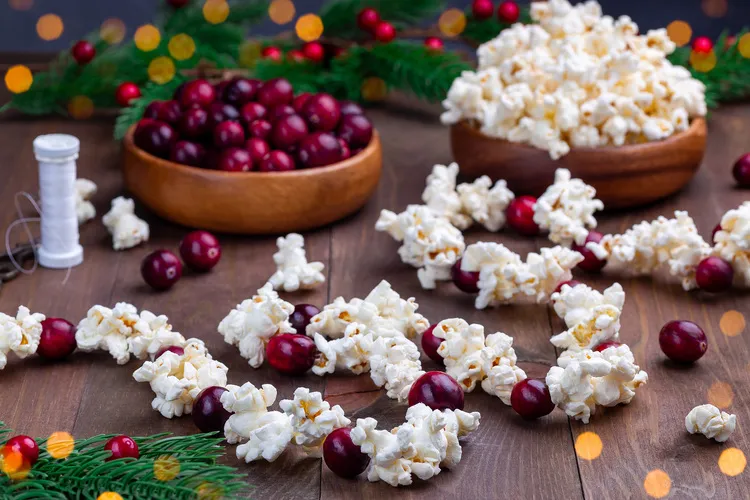 guirlande de popcorn et de canneberges pour nourrir les oiseaux en hiver