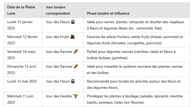 comment savoir quels types de plantes entretenir selon la journée pendant la pleine lune 2025